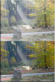 Original gegen bearbeitetes Bild Photoshop II